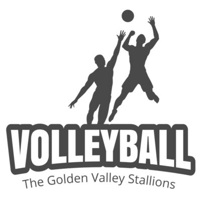 Volleyball 39 Miniatura